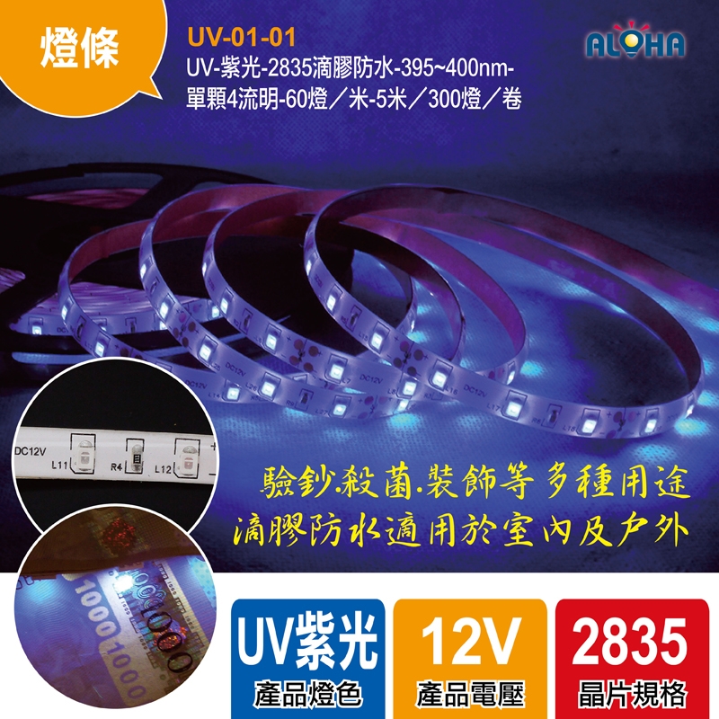 UV-2835滴膠防水-395~400nm-單顆4流明-60燈／米-5米／300燈／卷-25W
