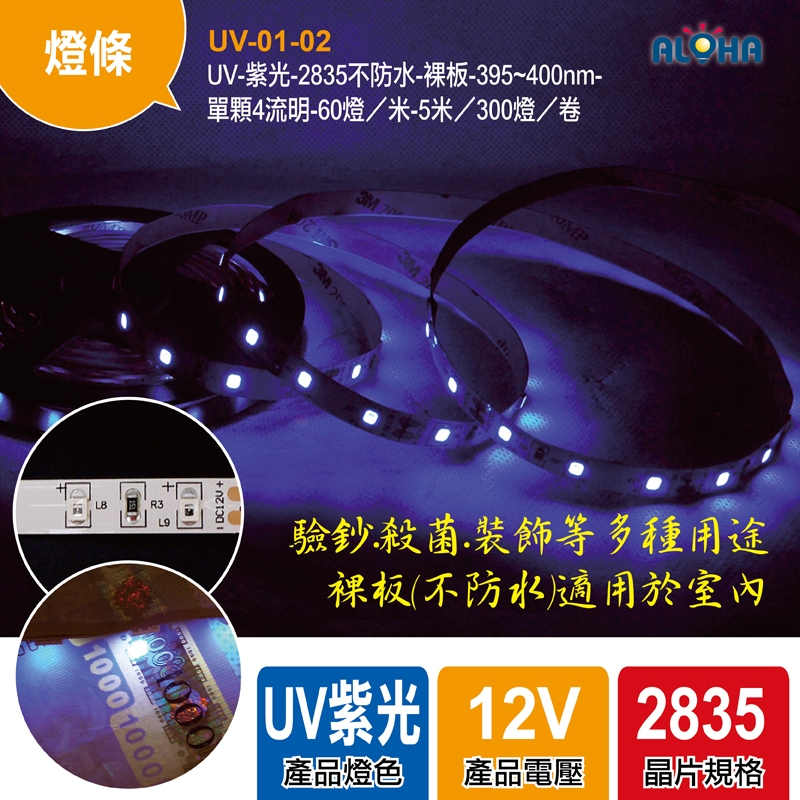 UV-紫光-2835不防水-裸板-395~400nm-單顆4流明-60燈／米-5米／300燈／卷-2