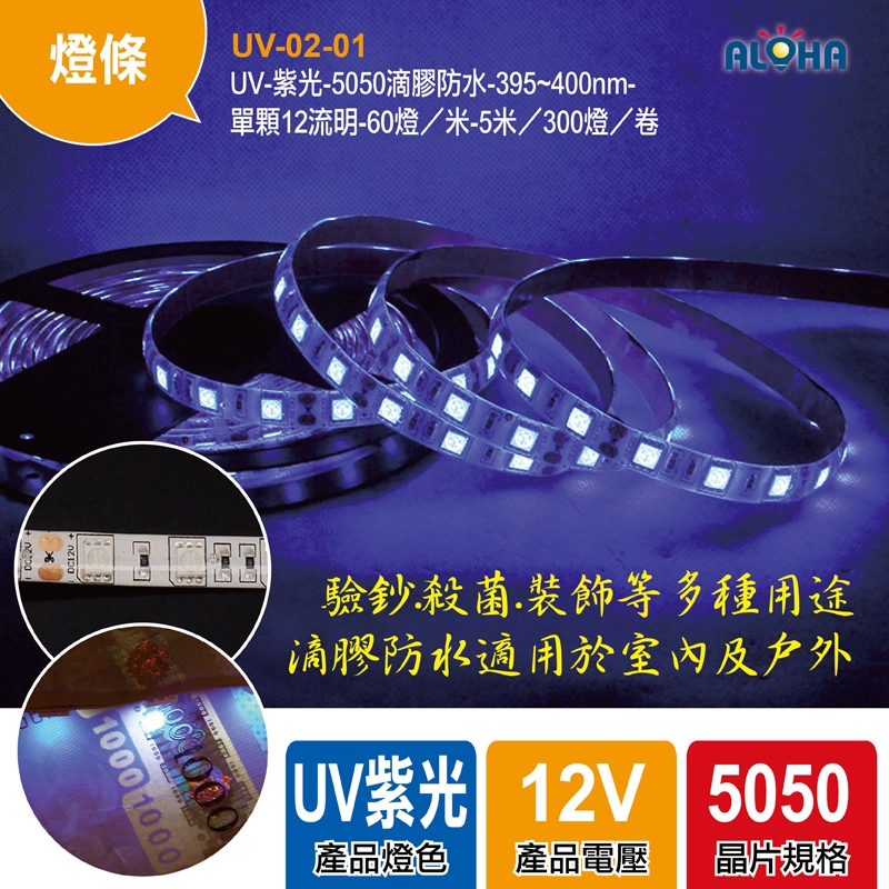 UV-紫光-5050滴膠防水-395~400nm-單顆12流明-60燈／米-5米／300燈／卷-36