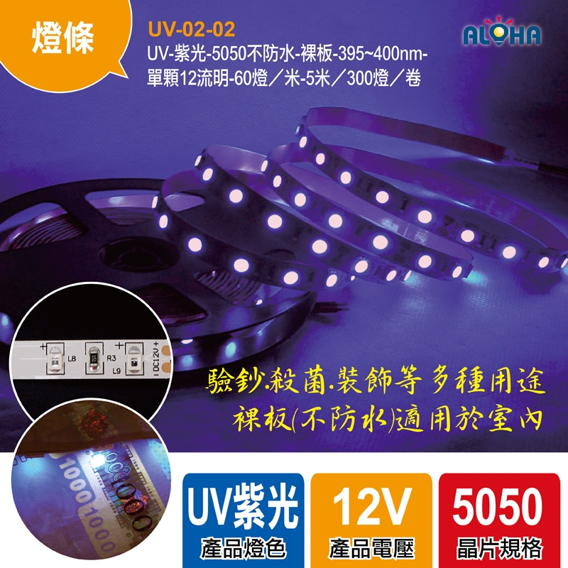 UV-紫光-5050不防水-裸板-395~400nm-單顆12流明-60燈／米-5米／300燈／卷-